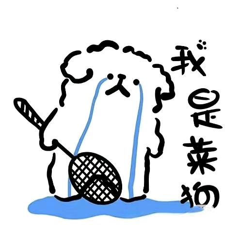 补药下网