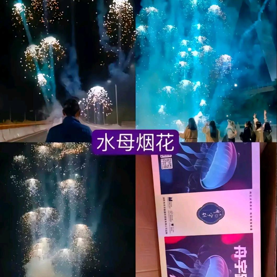 京东庄新华