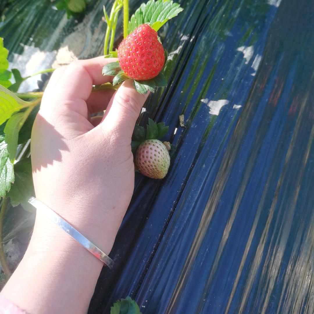 ꧁༺๑习惯就好๑༻꧂