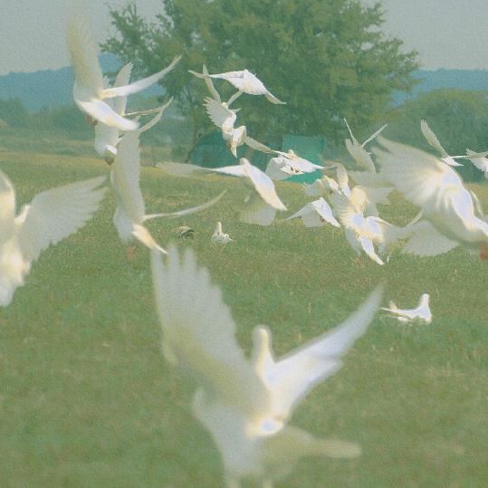 不上班的懒洋洋