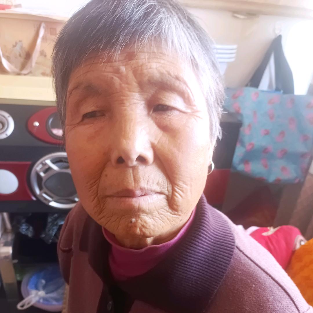 麦兜奶奶