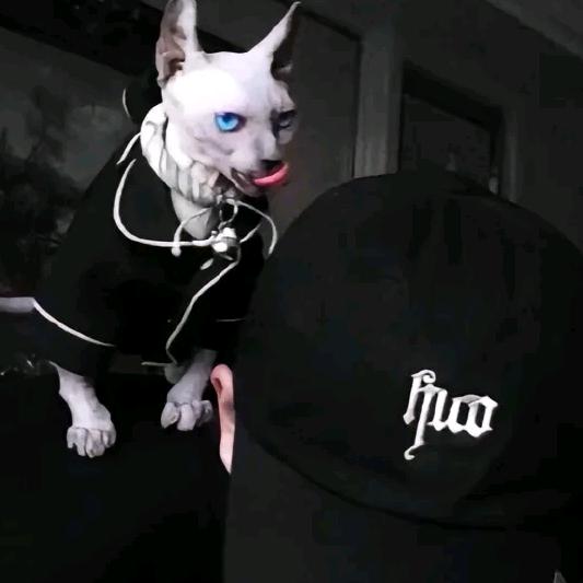 🌴超🌴🫧