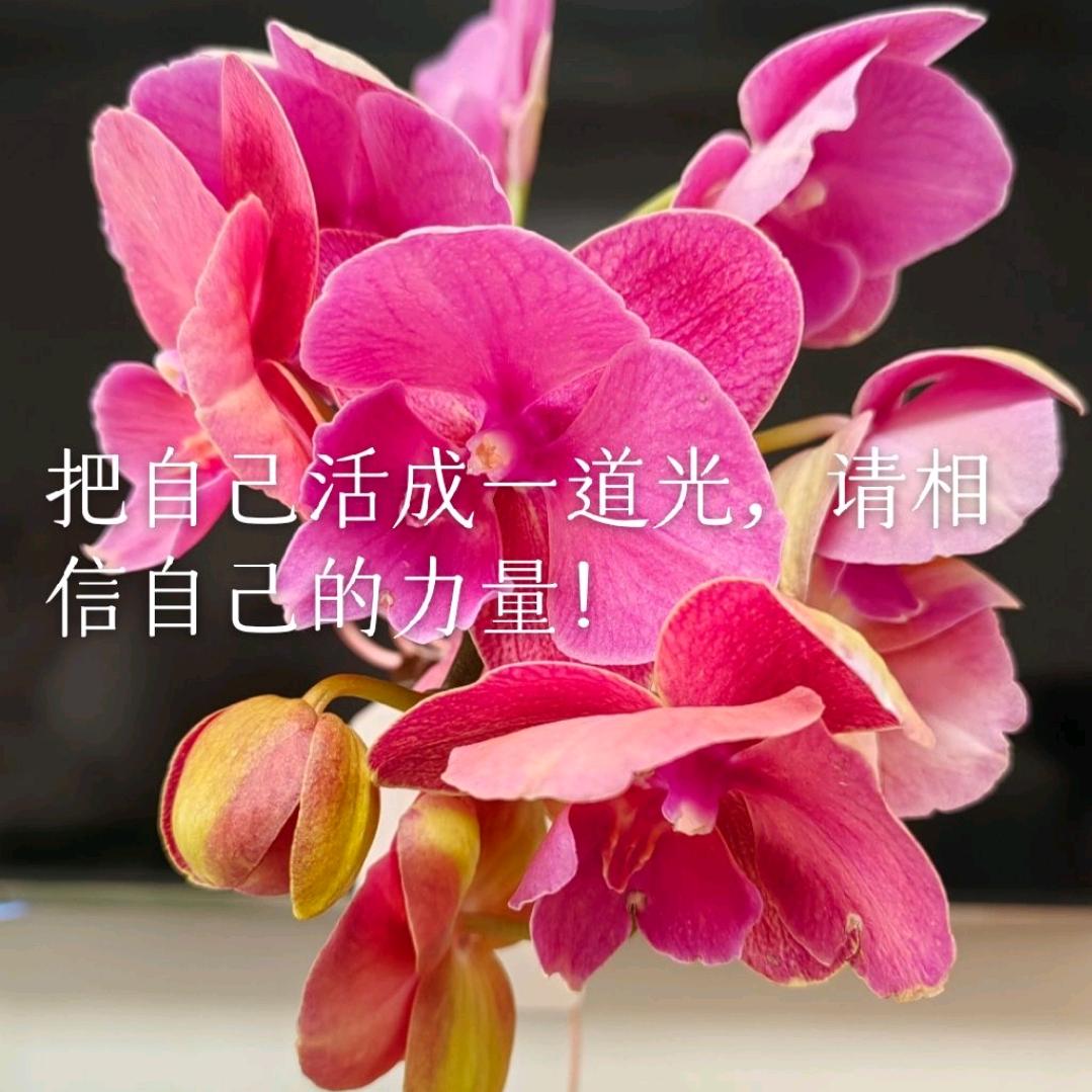 英姐老丫