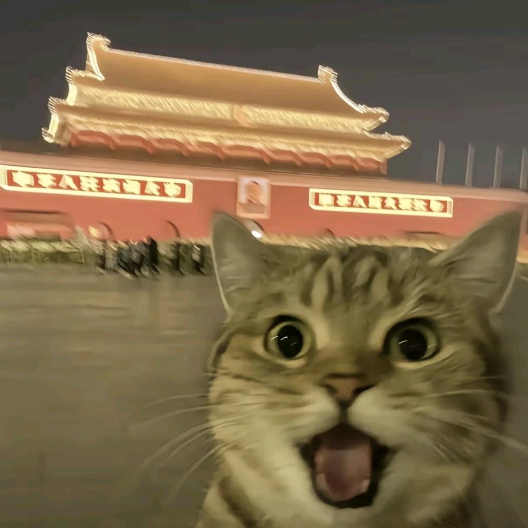 ❤️窥见幸福