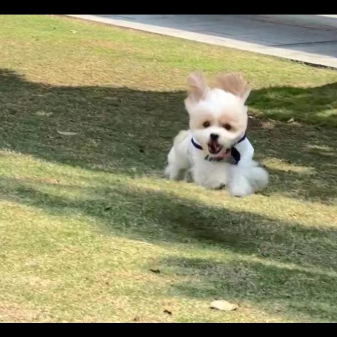 健健