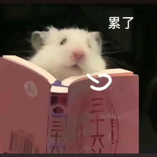 输得裤衩子都没了