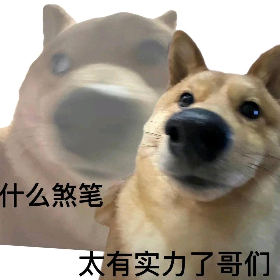 悟熙
