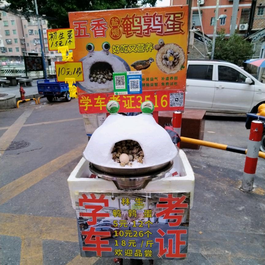 林生鹌鹑蛋，学车考证