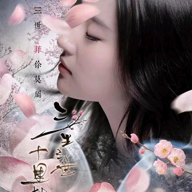 圆梦🌹️🌹️