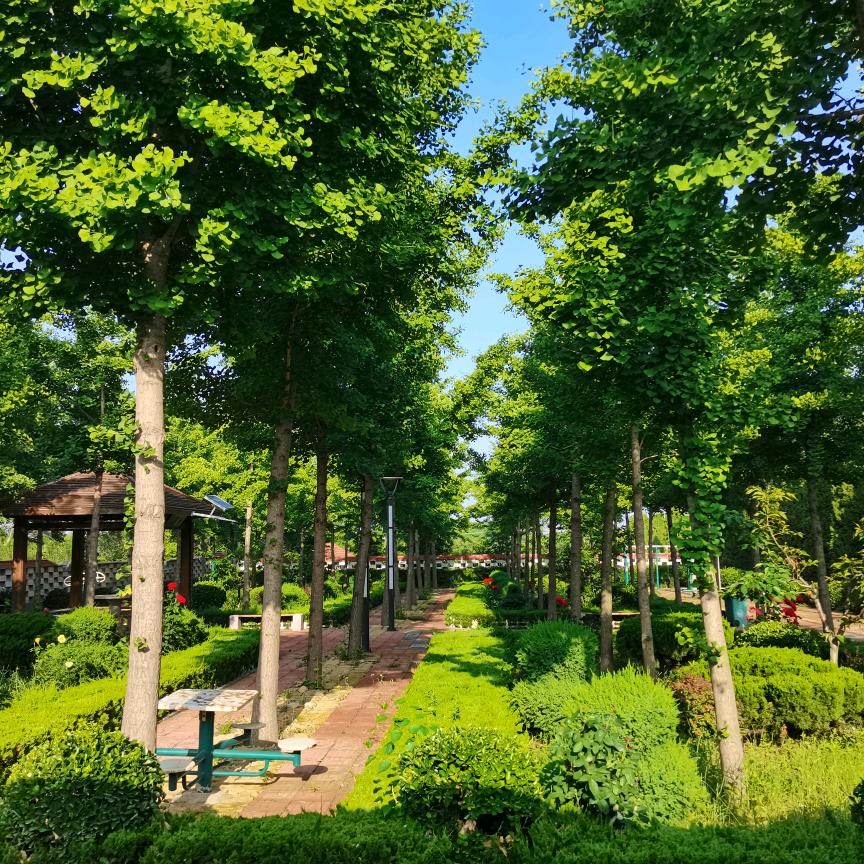 大伟