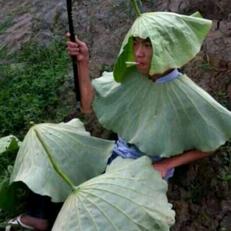 沈👀建设平安