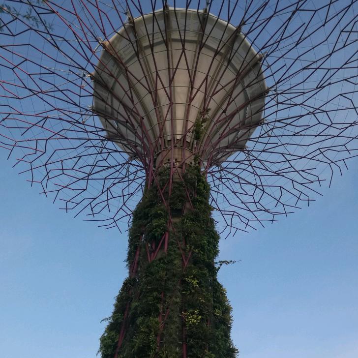 七七八八二五零