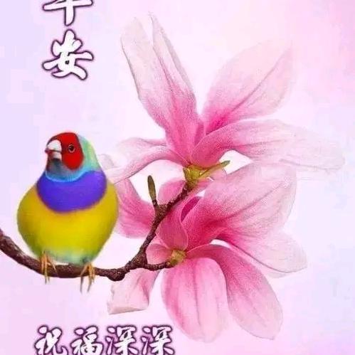 老杨→思维