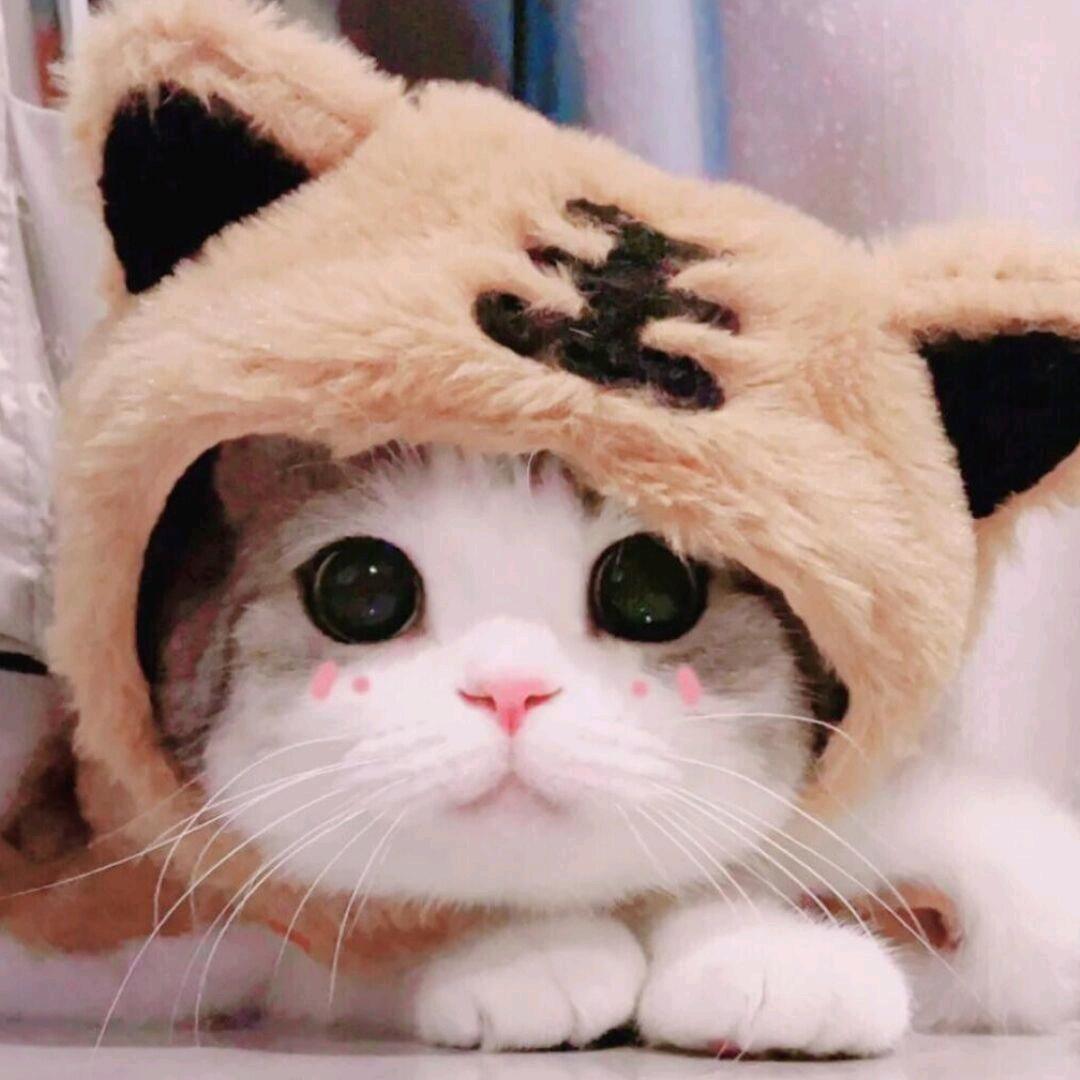 柚子皮～