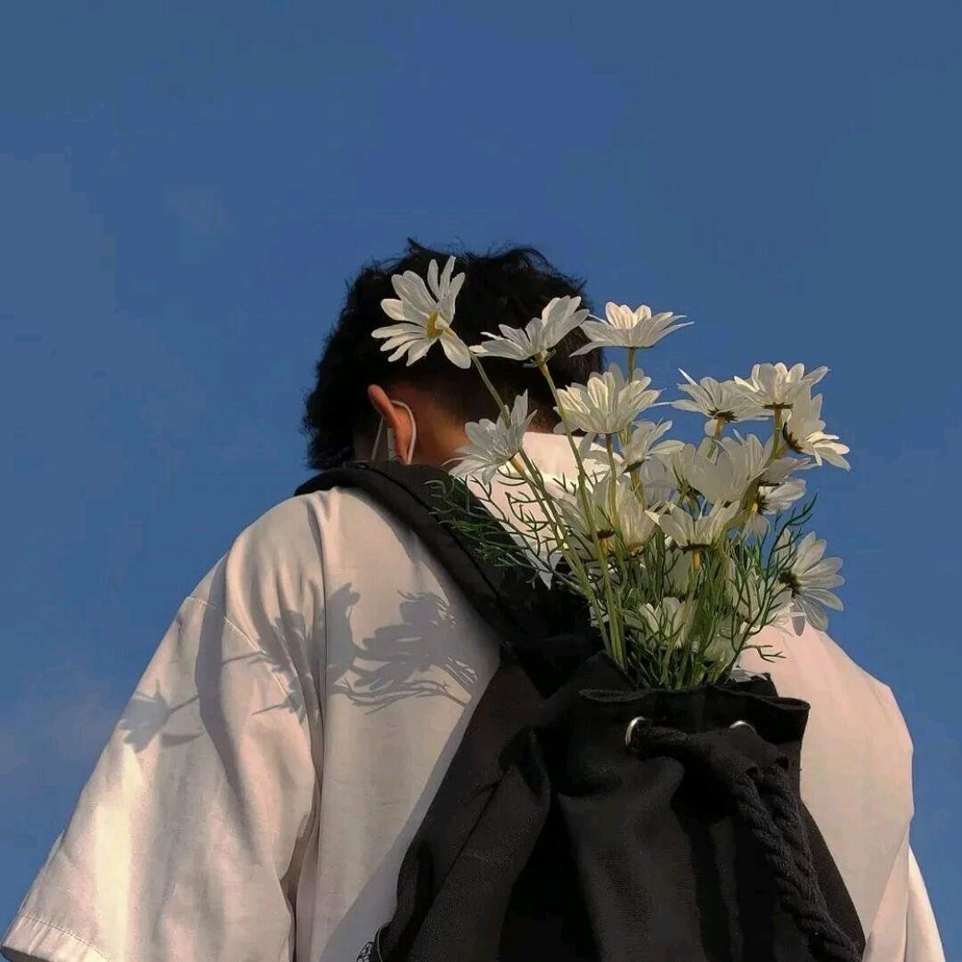 一只眠羊