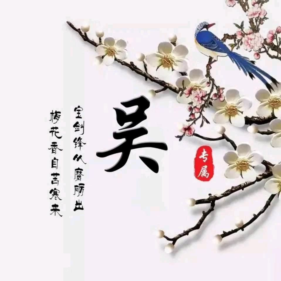 傲雪寒梅