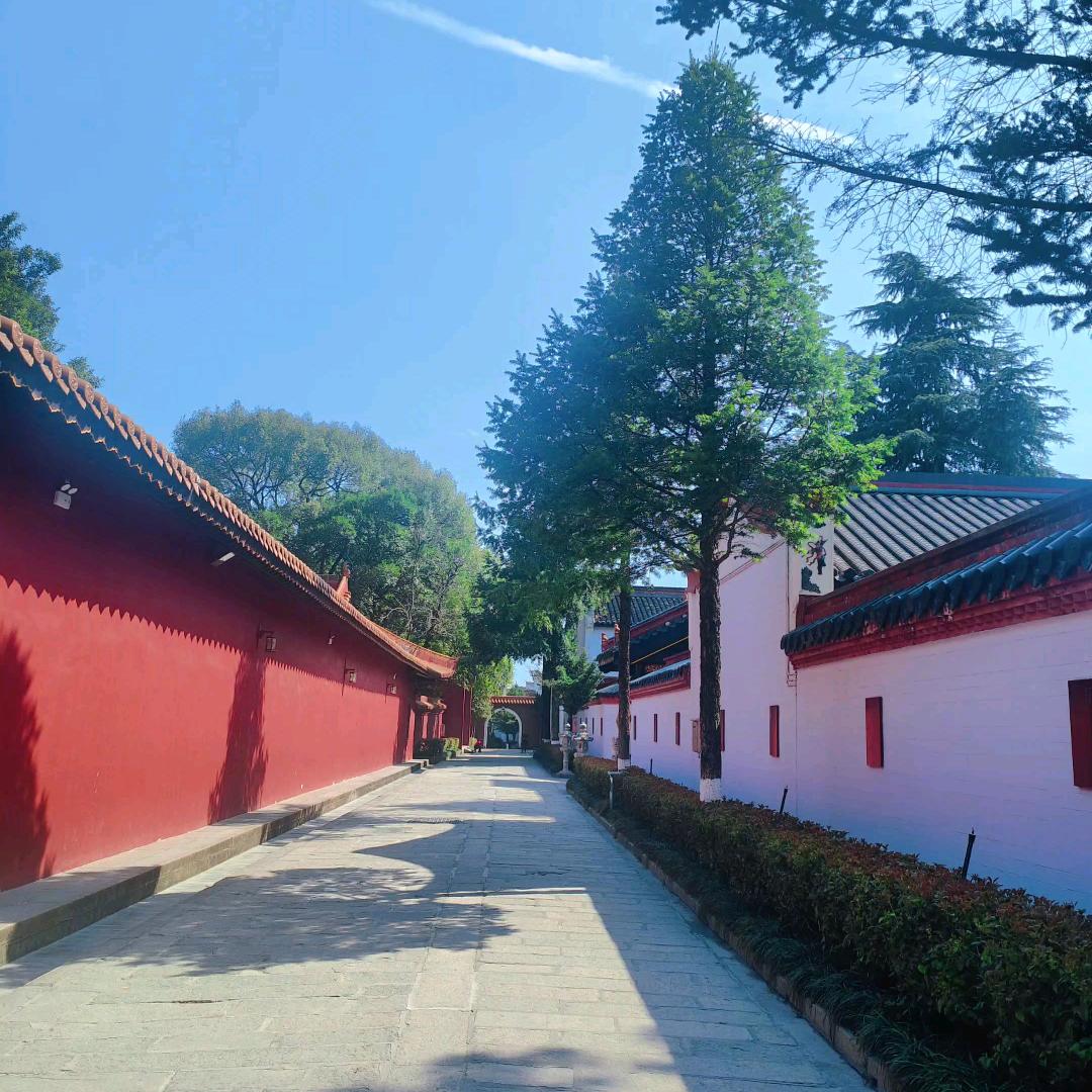 罗姑凉