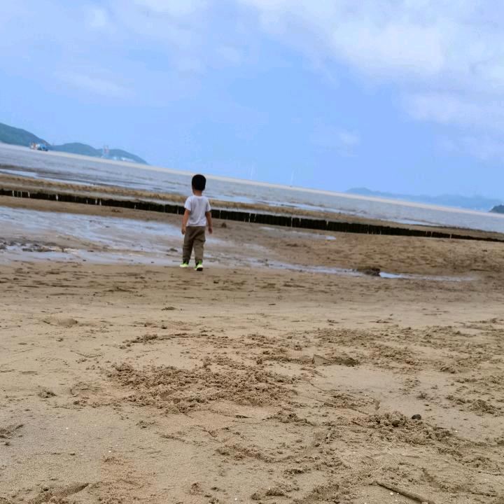 来吧！感受海鲢的洗鳃