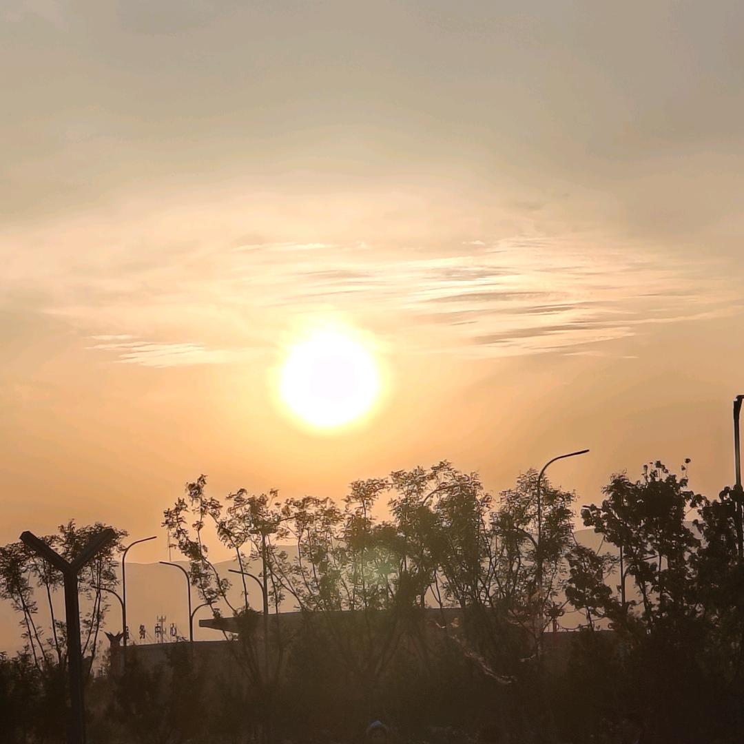 🔥🌈满山抽子就我最绿