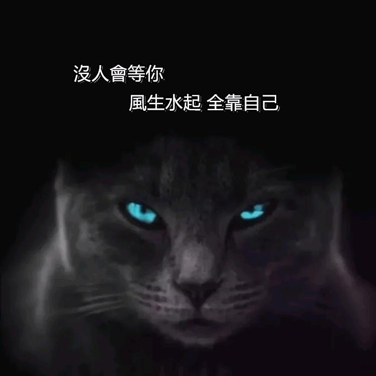坐在坟前调戏鬼