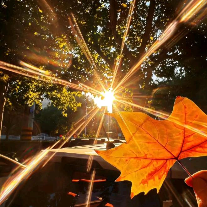 拼未来🧗‍♀️