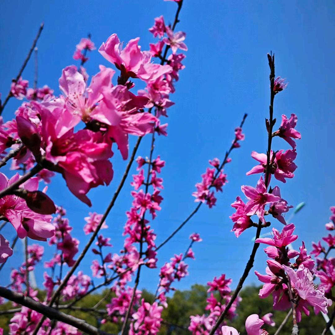 林姐有福晚上六点二十开播