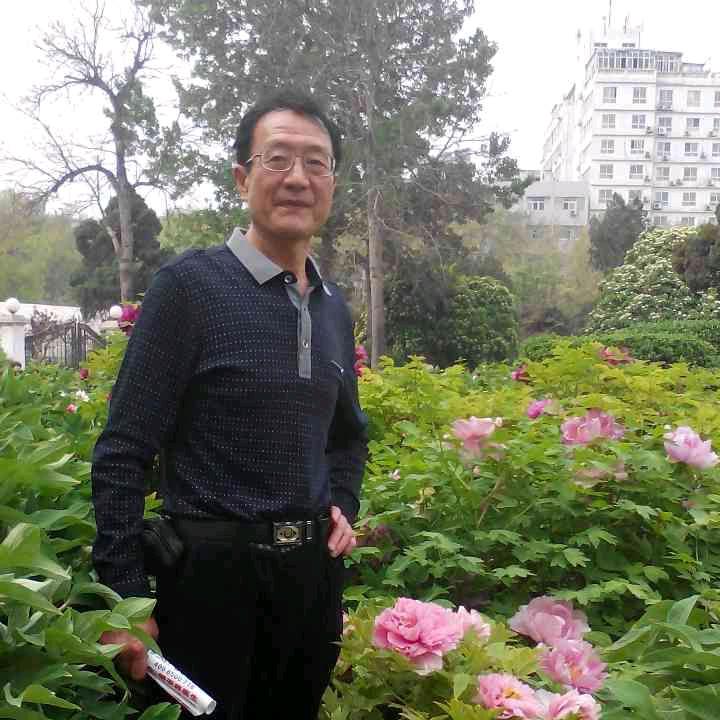 大君长