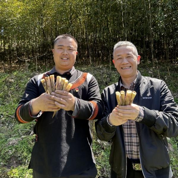 心想事陈EB