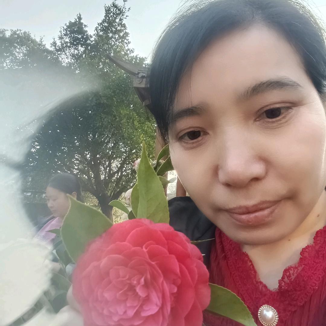 兴福一生《黄》