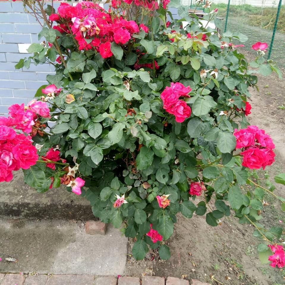 忘记过去。从零开始。