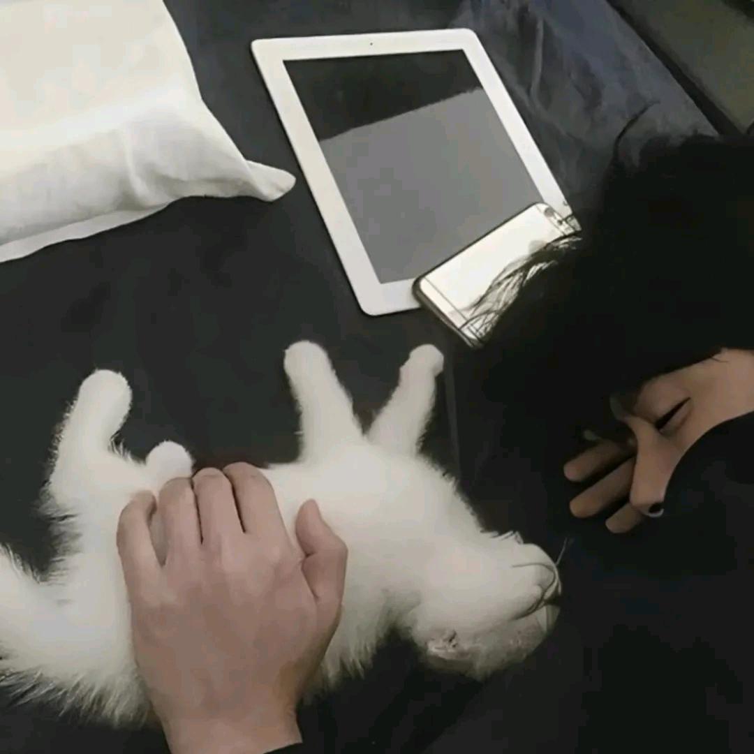 在窗外进不来