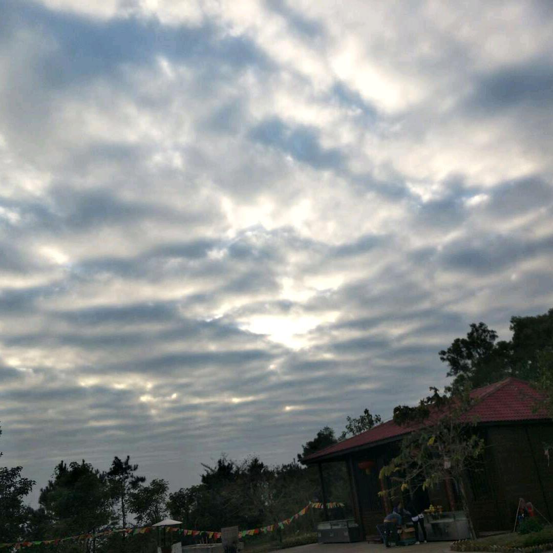 醉酒陪君