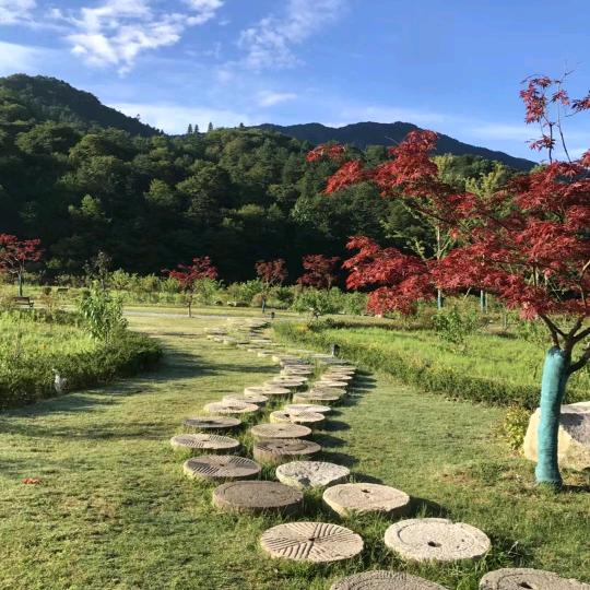 闲云山庄