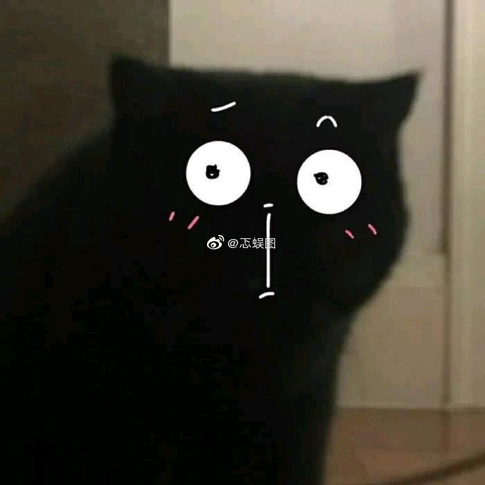 好气人👀