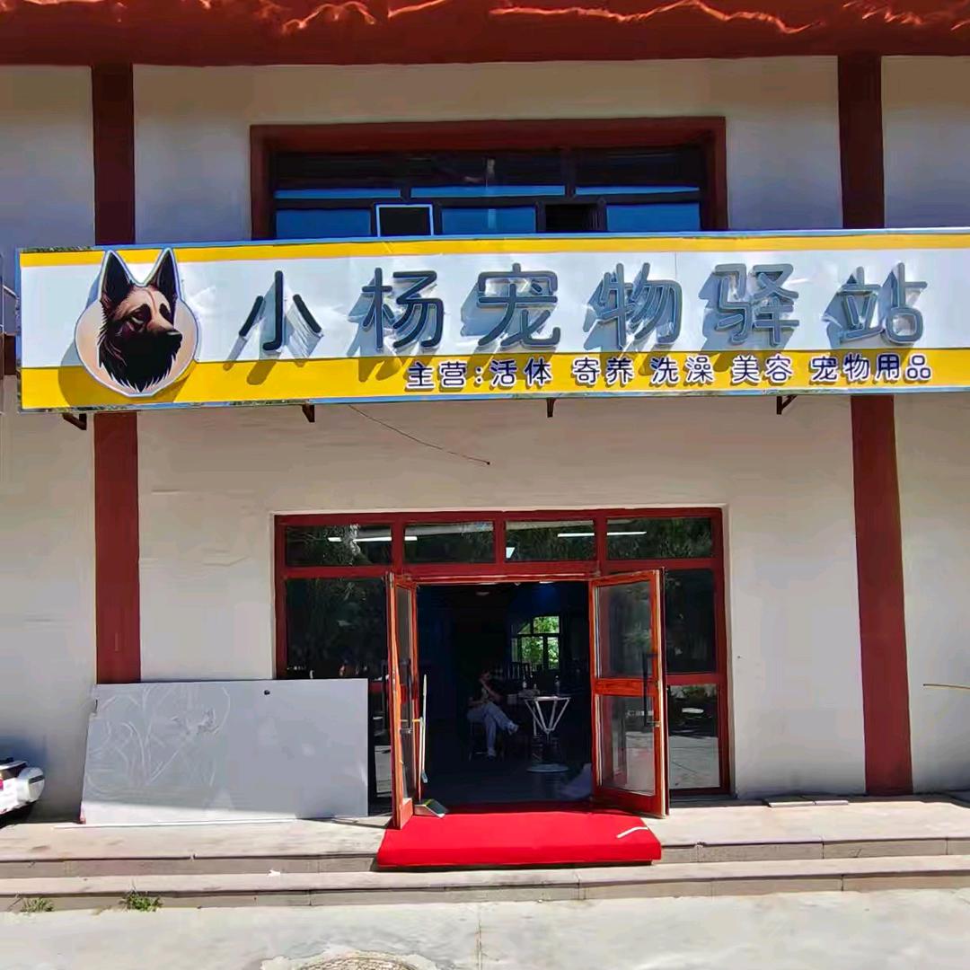 小杨宠物驿站-直播号