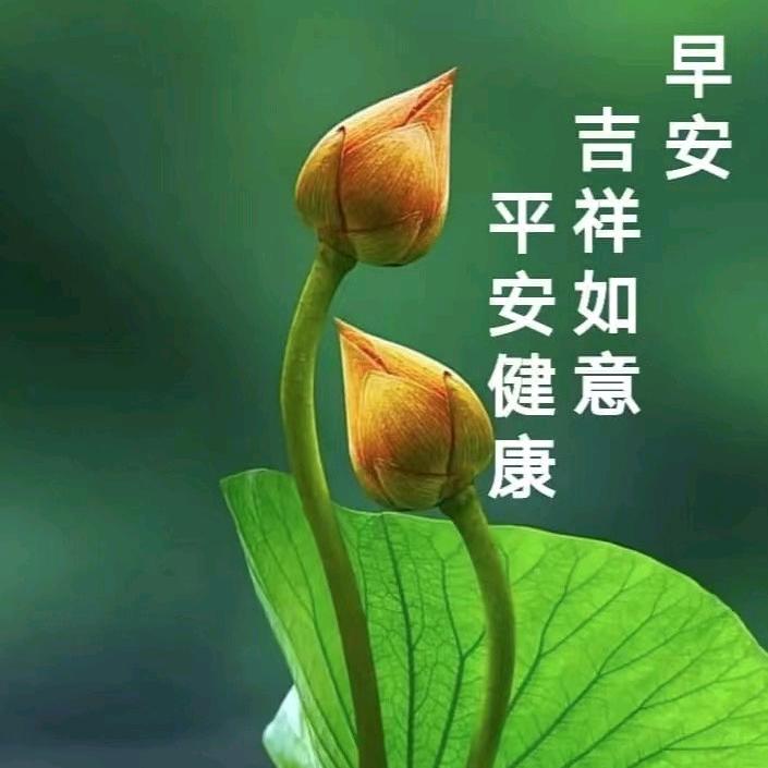 扶摇直上。