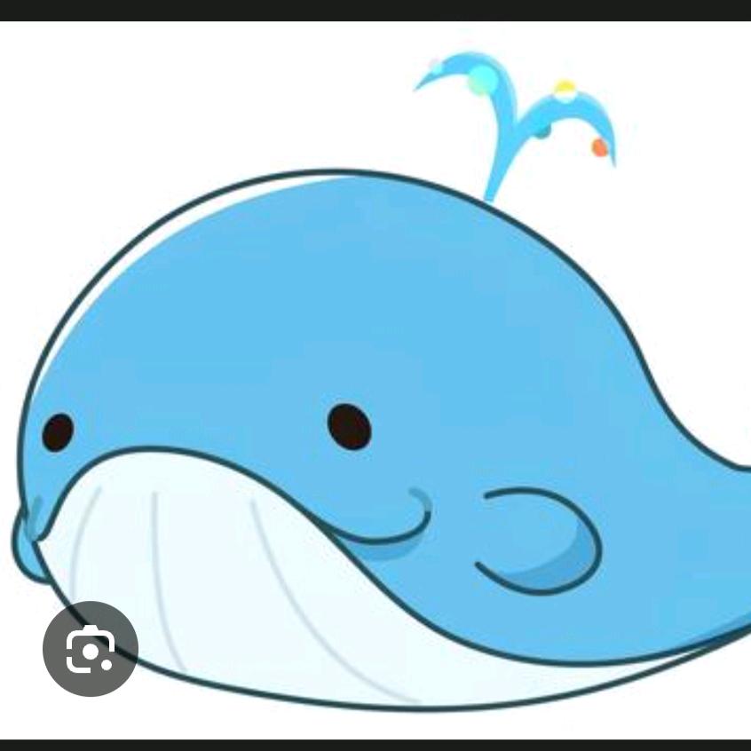 彩色巴掌鱼（七彩的微風~☀️