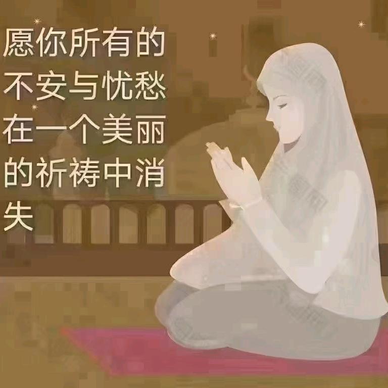 飞翔远方的燕子。