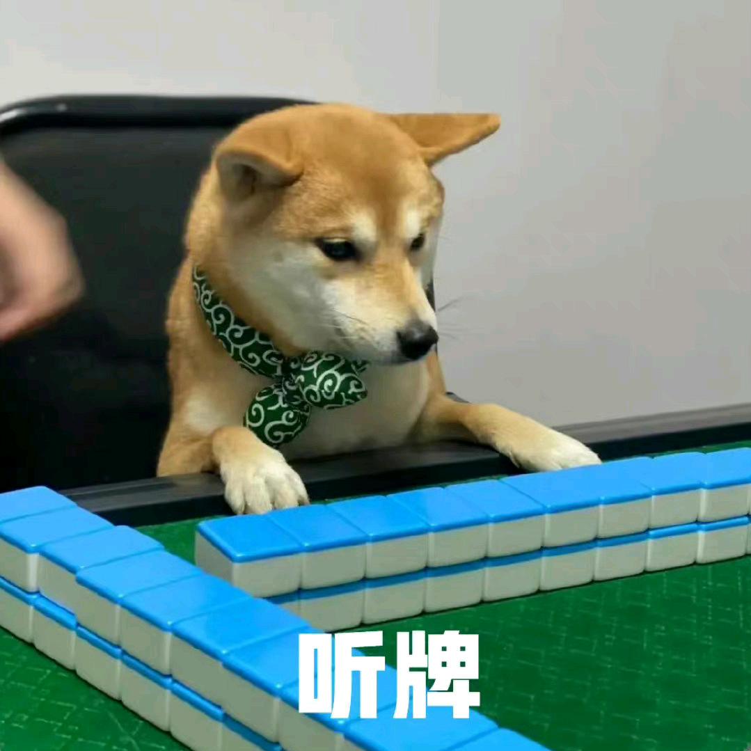 大暴龙