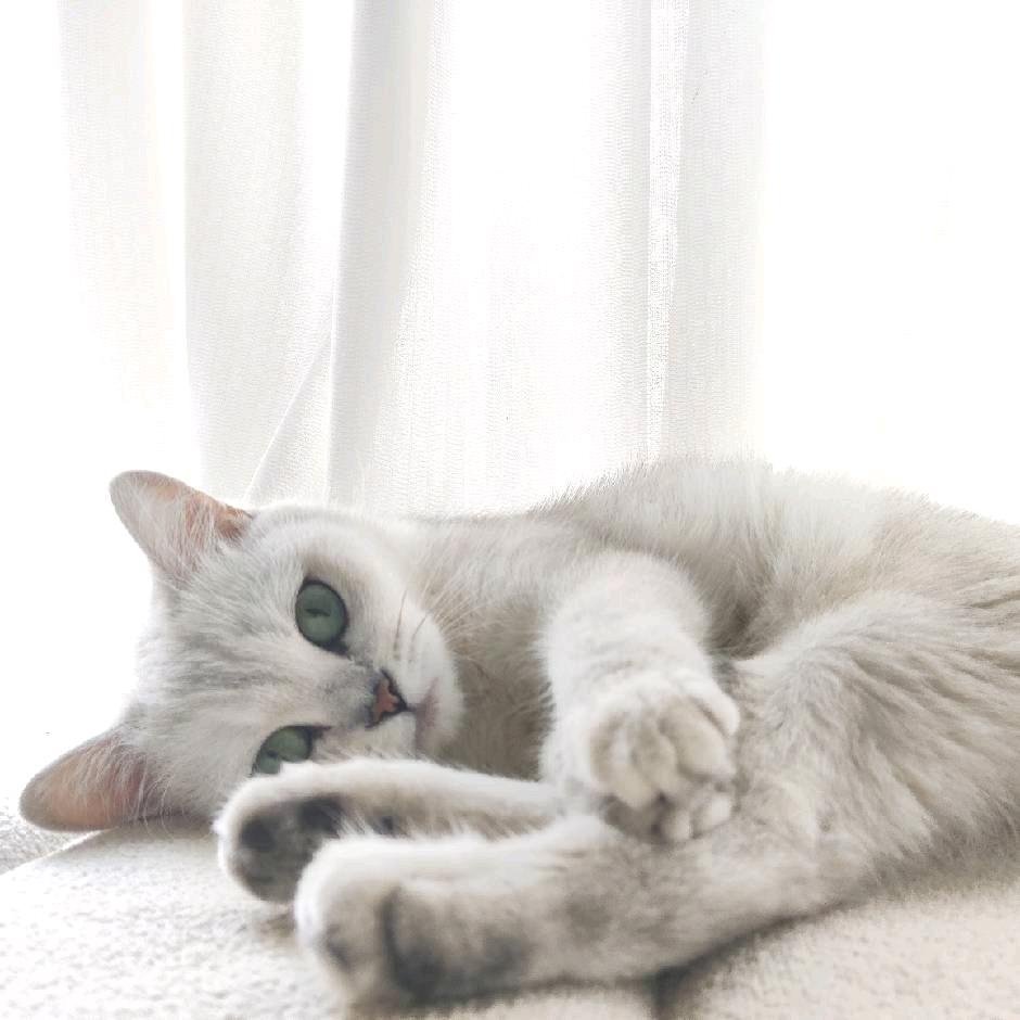 北暮