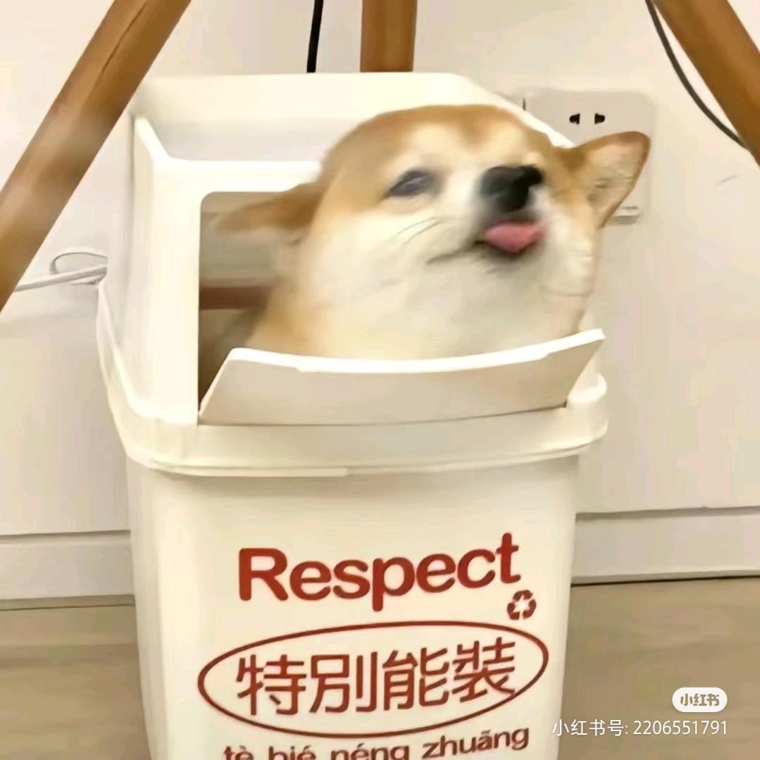 ´•ﻌ•`
