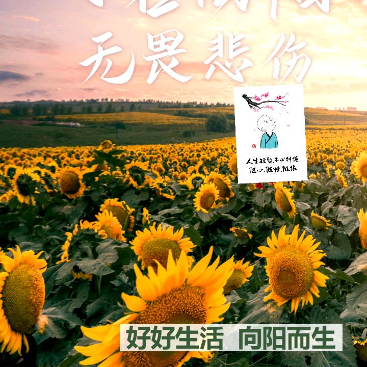 向洋
