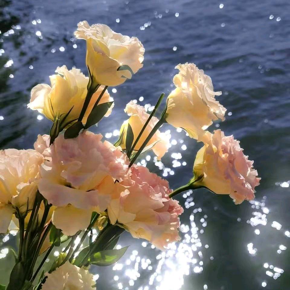 联通黄河路营业厅