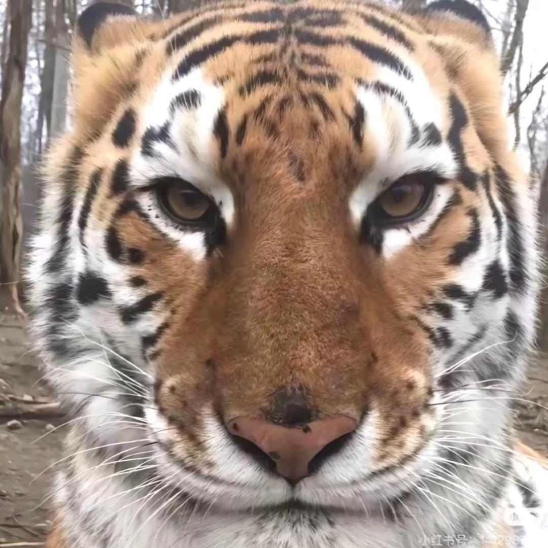 希望你天天开心✨