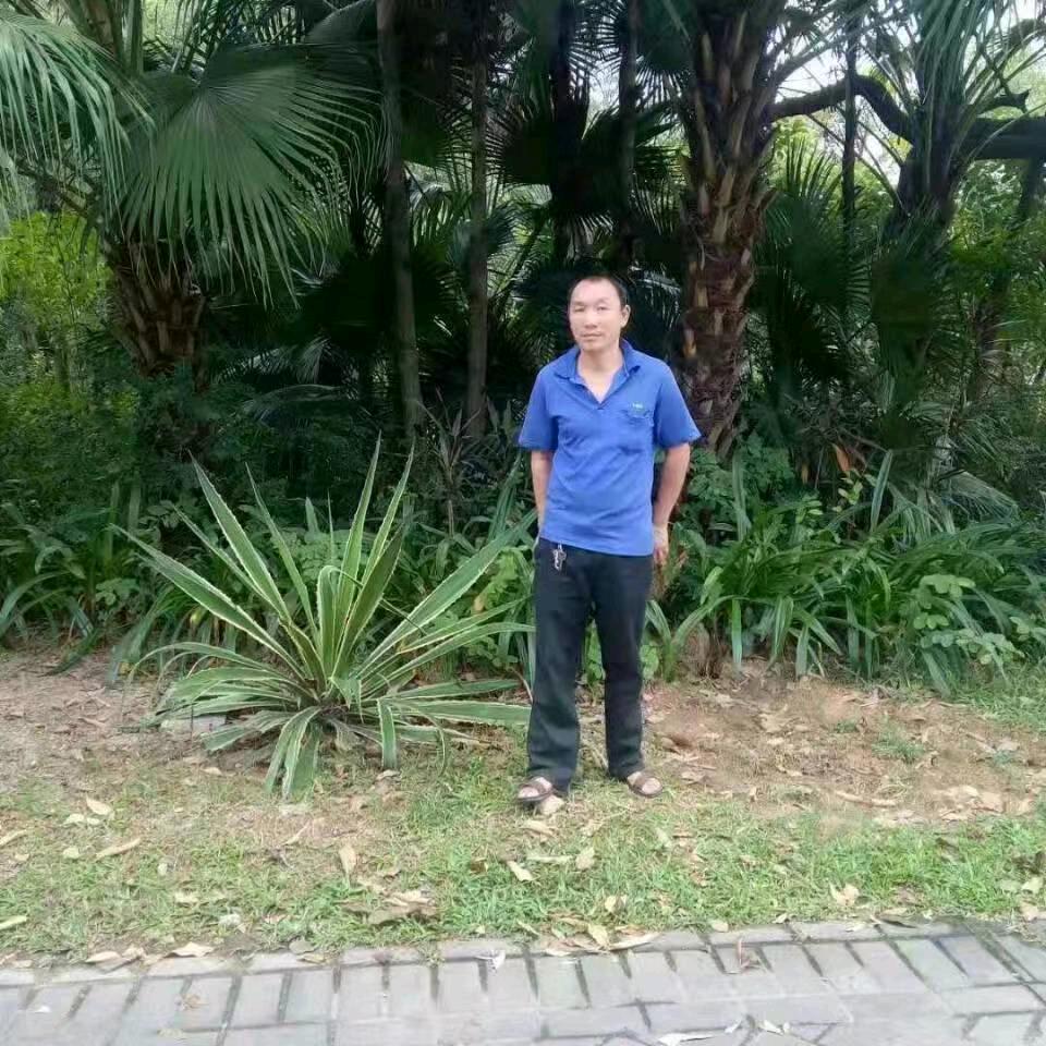 快乐一天就好