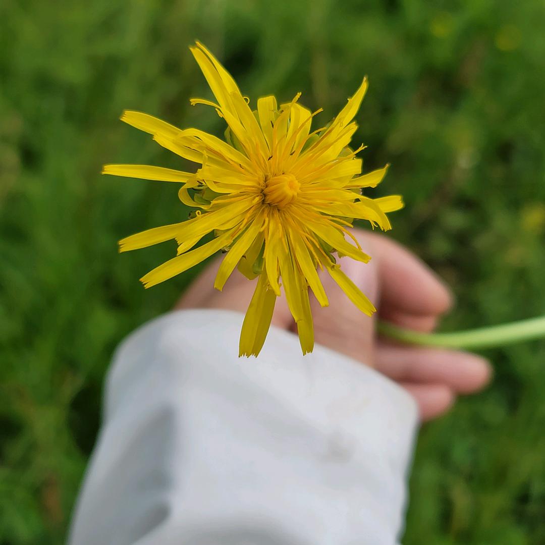 小菜姐姐🧍‍♀️