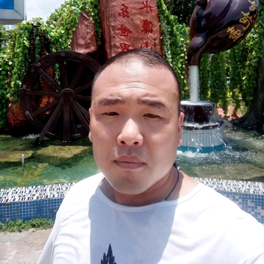 小杨哥讲真话