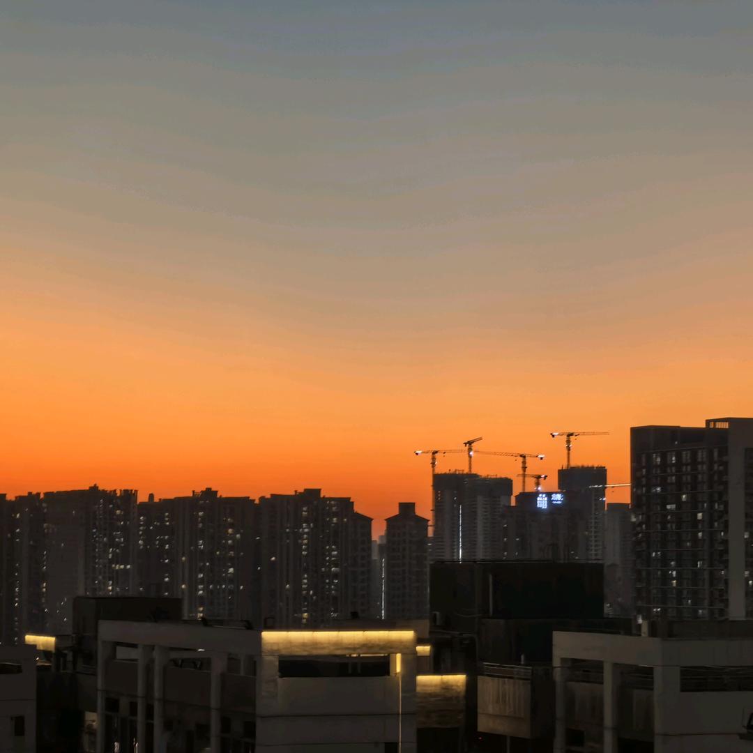 姚知
