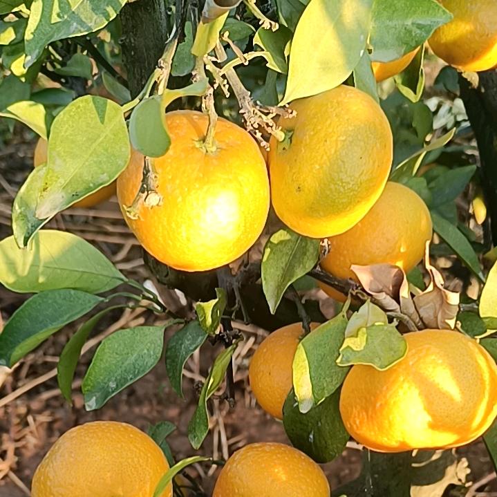 在冷雨夜中漫步