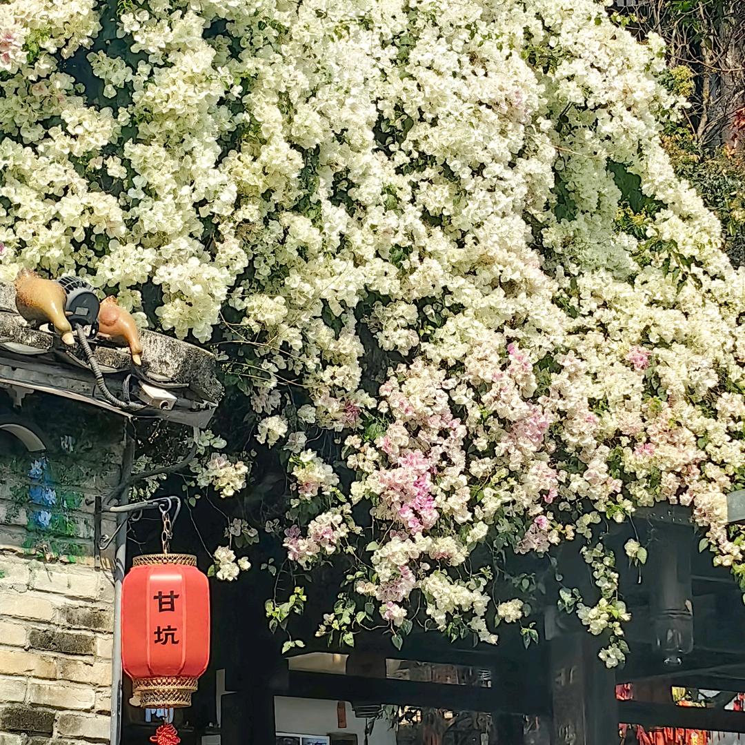 玟远科技的小店